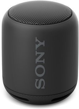 Buy Sony srs-xb10blacknfcspeaker 5 W 