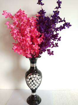 Bluebird Beautiful Blue And Dark Pink Peony With Black Elegant