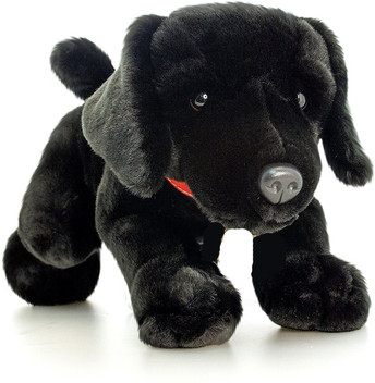 black puppy stuffed animal