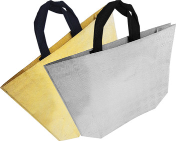 stylish carry bag