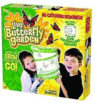Insect Lore Live Butterfly Garden Kit Price In India Buy Insect