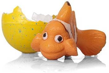 Generic Lizzy Growing Hatching Animal Eggs Clown Fish Price In
