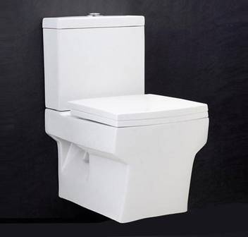 Hindware Extended Wall Mounted Closets Rubbic Complete Set 92064 P