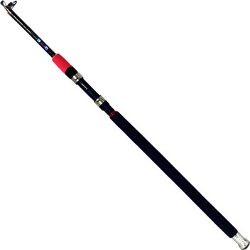 flipkart fishing rod