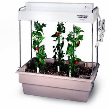 Generic American Educational Jewel Single Hydroponic Tabletop Planter Without Lights 24 Length X 16 Width X 30 Height Price In India Buy Generic American Educational Jewel Single Hydroponic Tabletop Planter Without