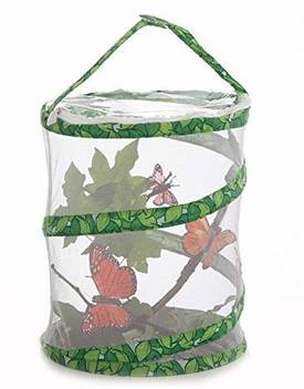 Insect Lore Butterfly Garden 12 Netted Pavilion Price In India Buy Insect Lore Butterfly Garden 12 Netted Pavilion Online At Flipkart Com