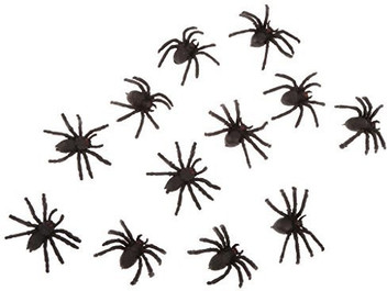 spider toy online