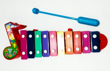 xylophone flipkart