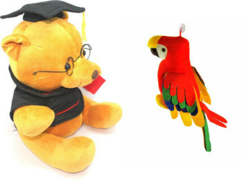 teddy parrot