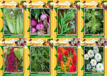 Airex Green Long Brinjal Onion Cluster Bean Mint Pudina Red Amaranthus Holy Basil Shyama Tulsi Celosia