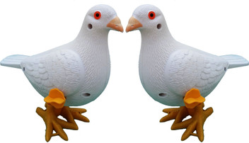 small pigeon toy