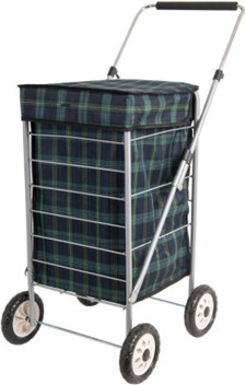 trolley flipkart
