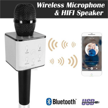 landmark wireless microphone with speaker