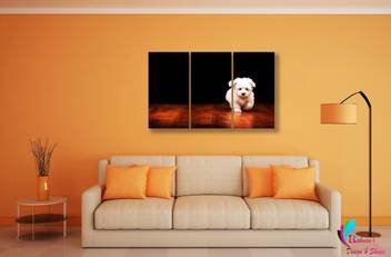 Rahman S Design Shines Rahman S Design Shines Wall Frames 3
