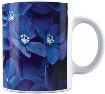 flipkart gift for girlfriend