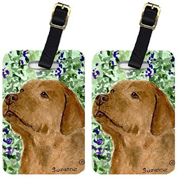 labrador dog price in flipkart