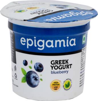Epigamia Greek Blueberry Fruit Yogurt Blueberry Price In India Buy