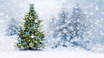 Christmas Tree B3 12 X 18 Inches Poster Art Photographic Paper