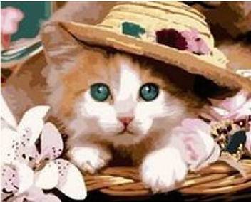 Colour Talk Diy Oil Painting Paint By Number Kit Cat Princess 16