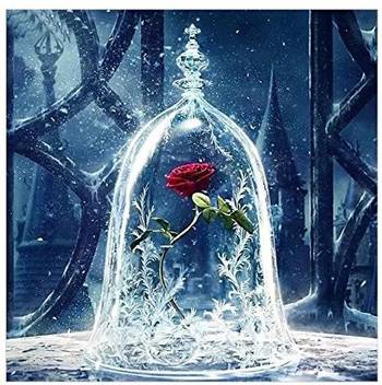 Crafts Graphy 5d Diy Diamond Painting By Numbers Kit For Adults