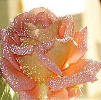 Colour Talk Diamond Painting Diy 5d Diamond Painting Kits For