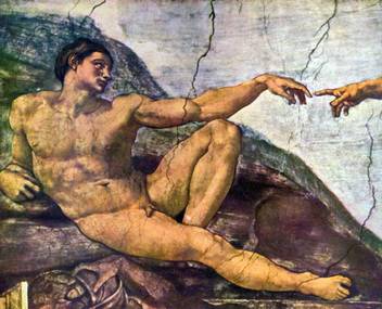 The Museum Outlet Creation Of Adam Detail By Michelangelo Canvas 40 Inch X 30 Inch Painting Price In India Buy The Museum Outlet Creation Of Adam Detail By Michelangelo Canvas 40