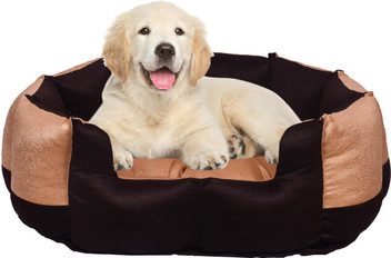 dog bed flipkart
