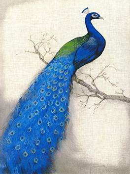 Grace Painter Diy Diamond Painting Cross Stitch Peacock 5d Diamond
