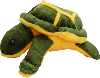 tortoise teddy