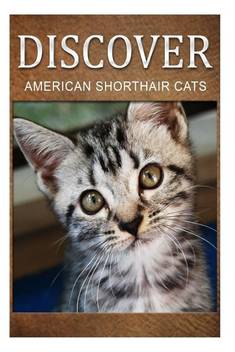 American Shorthair Cats Discover Buy American Shorthair Cats Discover By Press Discover At Low Price In India Flipkart Com