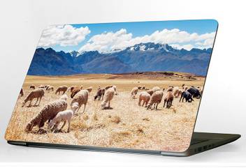 Niistore Peru Sheep Fields For 11 6 Inch Laptops Vinyl Laptop Decal 12 Price In India Buy Niistore Peru Sheep Fields For 11 6 Inch Laptops Vinyl Laptop Decal 12 Online At Flipkart Com