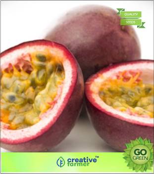 Wallpaper Creative Farmer Fruit Seeds Passion Fruit Krishna Fal Fruit Seeds Desktop Wallpaper Free