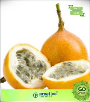Get Wallpaper Creative Farmer Fruit Seedsa A Hybrid Passion Fruit Yellow HD