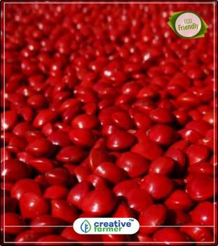 Creative Farmer Tree Plant For Garden Red Sandalwood Tree Seeds For Garden Perfect Home Garden Plant Seeds Seed Price In India Buy Creative Farmer Tree Plant For Garden Red Sandalwood Tree