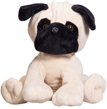 teddy pugs