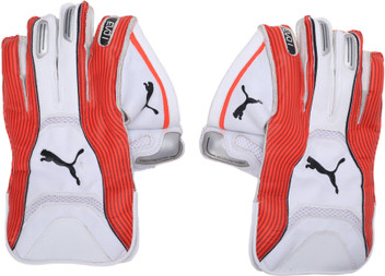 puma evo 1 wicket keeping gloves