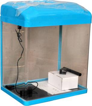 Aquarium fish rates in bangalore