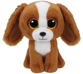 dog toys flipkart