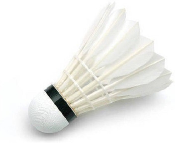 badminton shuttlecock flipkart