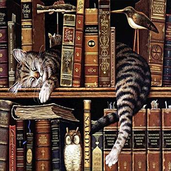 Forestime 5d Diamond Painting By Number Kit Vintage Book And Cat