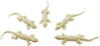 Tootpado Realistic Rubber Lizard Toys 5 Inch House Gecko Brown 1a245 Pack Of 5 Realistic Rubber Lizard Toys 5 Inch House Gecko Brown 1a245 Pack Of 5