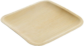 disposable dinnerware