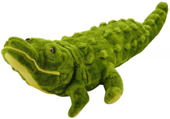 crocodile stuff