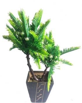 Kaykon Artificial Bonsai Plant Green Tree Home Decorative Artificial Flower Plant With Wooden Pot Natural Looking Coconut Shape Small Bonsai Artificial Plant With Pot Price In India Buy Kaykon