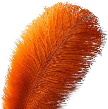 craft ostrich feathers