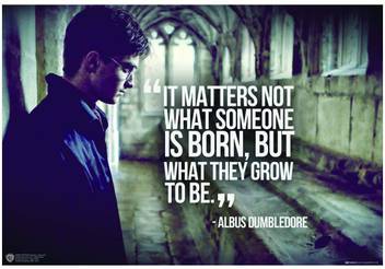 Wb Official Licensed Harry Potter Albus Dumbledore Quote What They Grow To Be Poster A4 Paper Print Movies Posters In India Buy Art Film Design Movie Music Nature And Educational