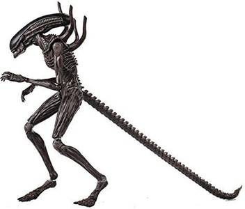 Hiya Toys Alien Covenant Xenomorph 1 18 Scale Action Figure Alien Covenant Xenomorph 1 18 Scale Action Figure Buy Enomorph Scale Toys In India Shop For Hiya Toys Products In India Flipkart Com