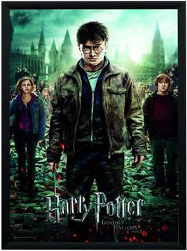 Wb Official Licensed Harry Potter Deathly Hallows Part2 Movie