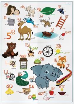 Tamil Alphabet For Kids Single Chart Depicting Both Vowel And Consonats 11 7x 16 5 Inches Paper Print Children Posters In India Buy Art Film Design Movie Music Nature And Without it, you will not be able to say words properly below is a table showing the tamil alphabet and how it is pronounced in english, and finally examples of how those letters would sound if you. tamil alphabet for kids single chart
