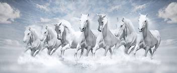 Graffiti Vastu Seven Horse Painting Digital Reprint 20 Inch X 48